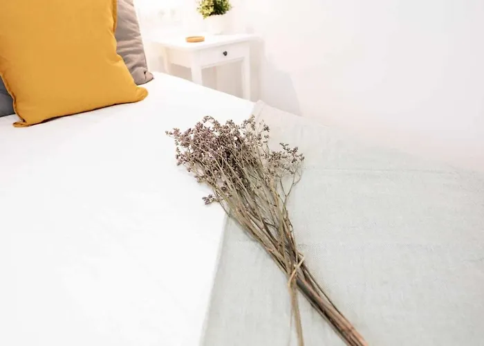 Surf House Canarias 3