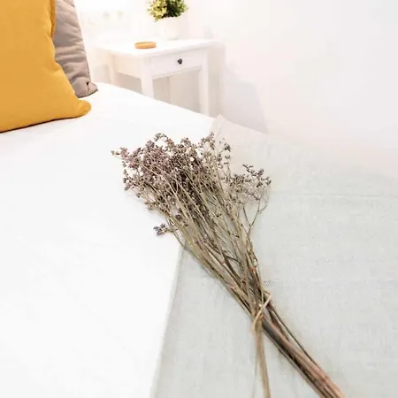 Surf House Canarias 3